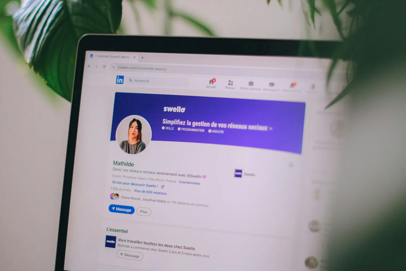 Tipos de contenido para redes sociales